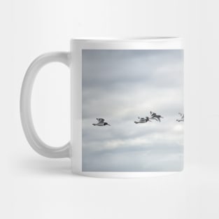 Five Oystercatchers in flight - Isle of Arran, Scotland Mug